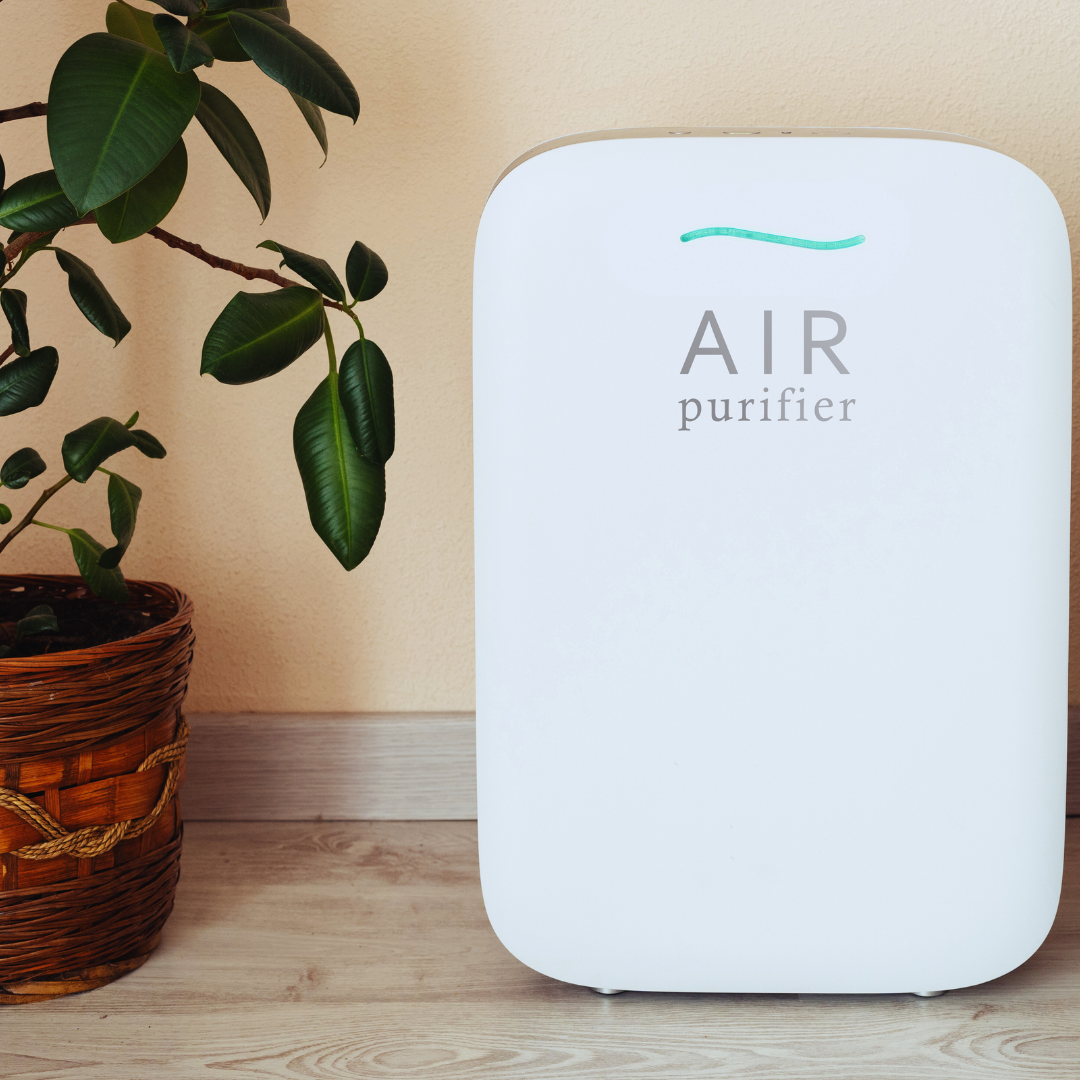DIY Ways to Improve Your Home’s Air Quality: Practical Tips for a Healthier Living Environment